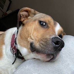 Meet your Posher, Ellie